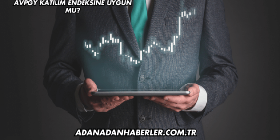 AVPGY Katılım Endeksine Uygun mu?