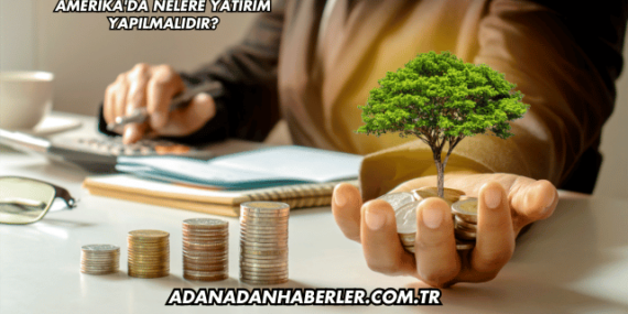 Amerika’da Nelere Yatırım Yapılmalıdır?