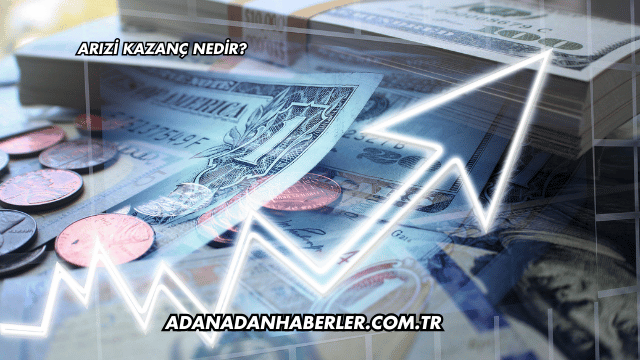 Arızi Kazanç Nedir?