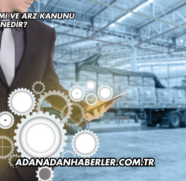 Arz Kavramı ve Arz Kanunu Nedir?