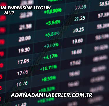 Batı Ege Katılım Endeksine Uygun mu?