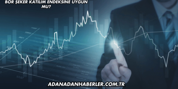 Bor Şeker Katılım Endeksine Uygun mu?