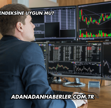 ÇATES Katılım Endeksine Uygun mu?