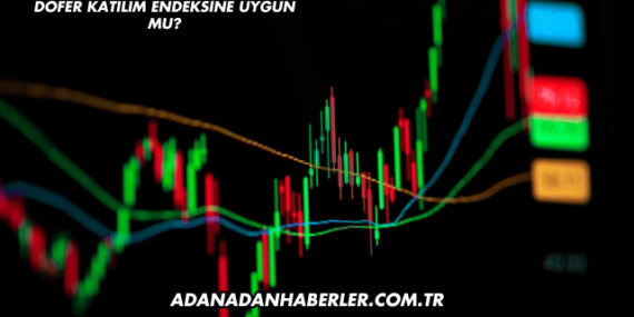 Dofer Katılım Endeksine Uygun mu?