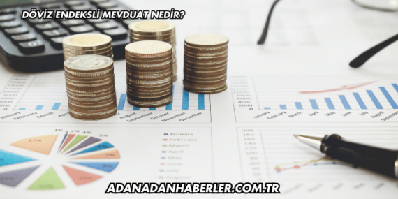 Döviz Endeksli Mevduat Nedir?