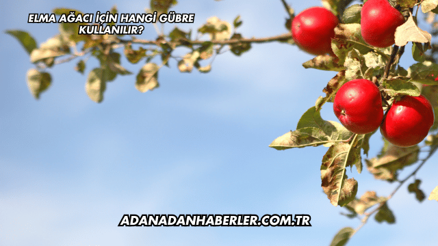 Elma Ağacı İçin Hangi Gübre Kullanılır?