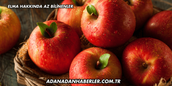 Elma Hakkında Az Bilinenler