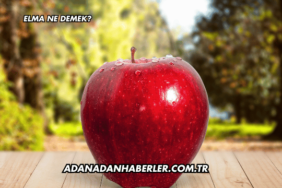 Elma Ne Demek?