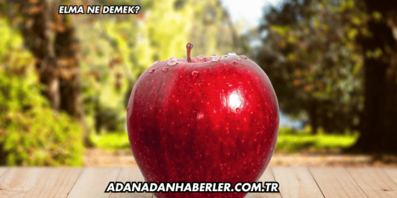 Elma Ne Demek?