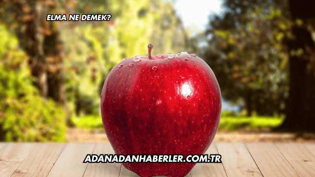 Elma Ne Demek?