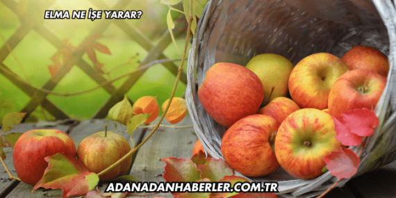 Elma Ne İşe Yarar?