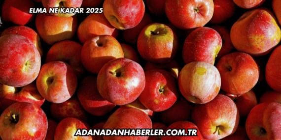 Elma Ne Kadar 2025