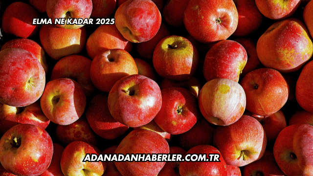 Elma Ne Kadar 2025