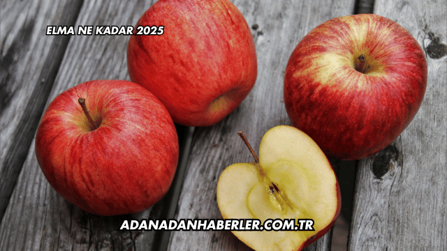 Elma Ne Kadar 2025