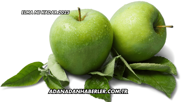 Elma Ne Kadar 2025