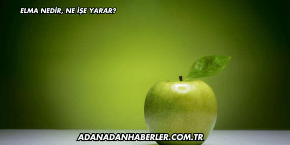 Elma Nedir, Ne İşe Yarar?