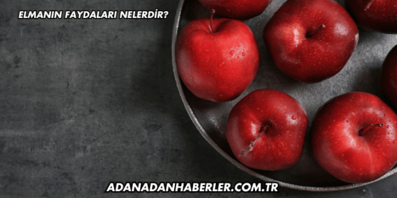 Elmanın Faydaları Nelerdir?