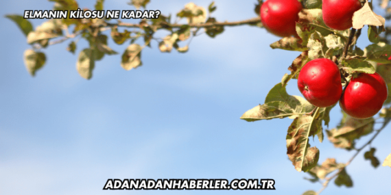 Elmanın Kilosu Ne Kadar?