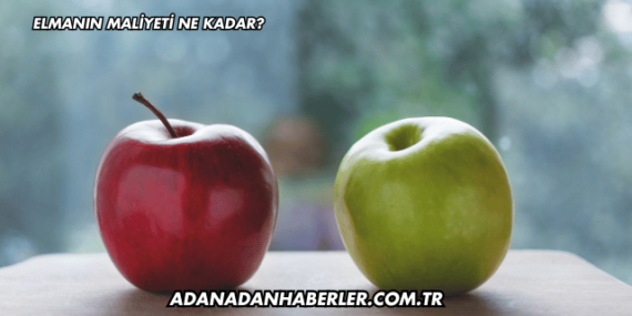 Elmanın Maliyeti Ne Kadar?