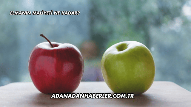 Elmanın Maliyeti Ne Kadar?