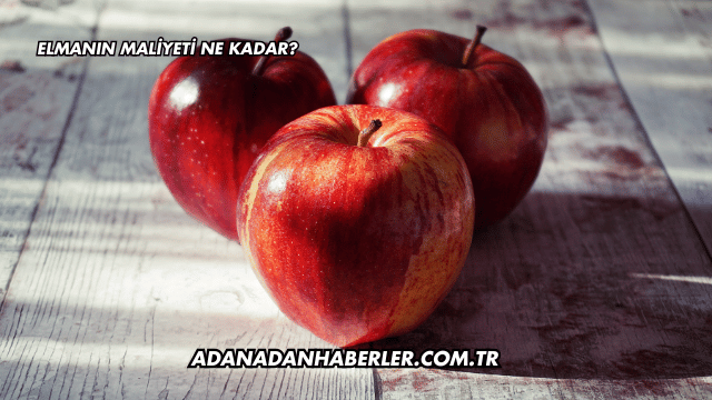 Elmanın Maliyeti Ne Kadar?