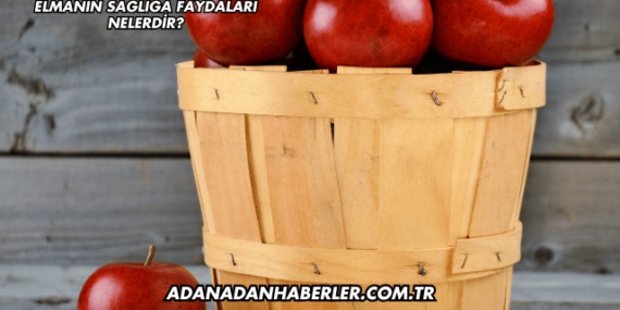 Elmanın Sağlığa Faydaları Nelerdir?