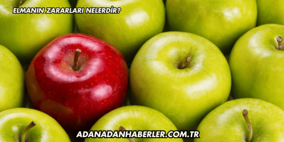 Elmanın Zararları Nelerdir?