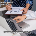 Fransa'da Nelere Yatırım Yapılmalıdır?