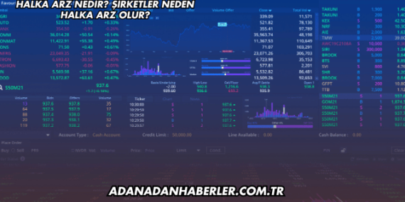 Halka Arz Nedir? Şirketler Neden Halka Arz Olur?