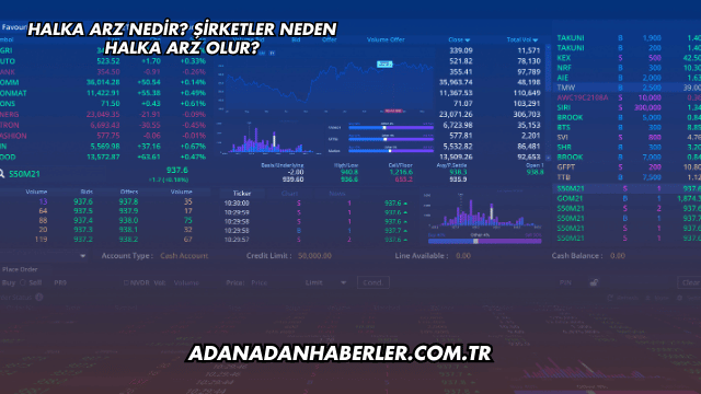 Halka Arz Nedir? Şirketler Neden Halka Arz Olur?