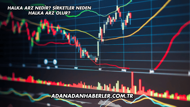Halka Arz Nedir? Şirketler Neden Halka Arz Olur?