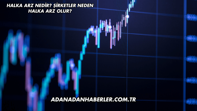 Halka Arz Nedir? Şirketler Neden Halka Arz Olur?