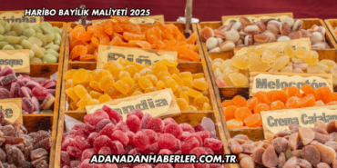 Haribo Bayilik Maliyeti 2025