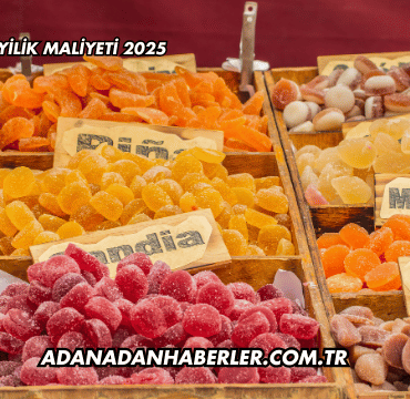 Haribo Bayilik Maliyeti 2025