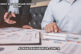 Konut Başlangıçları Raporu Nedir?