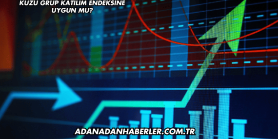 Kuzu Grup Katılım Endeksine Uygun mu?