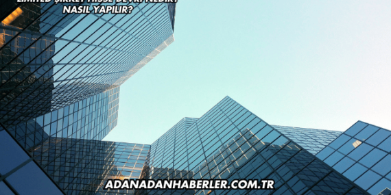 Limited Şirket Hisse Devri Nedir? Nasıl Yapılır?
