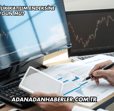 Özata Denizcilik Katılım Endeksine Uygun mu?