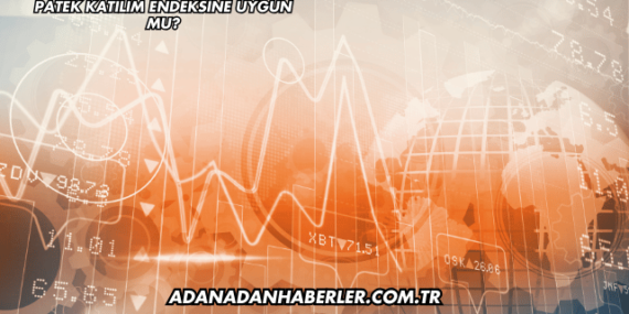 Patek Katılım Endeksine Uygun mu?