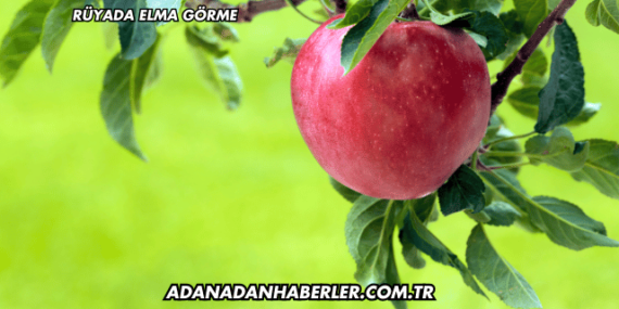 Rüyada Elma Görme