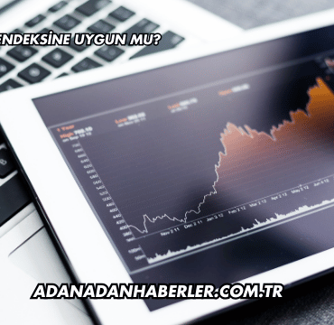 Sasa Katılım Endeksine Uygun mu?
