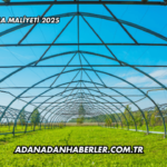 Sera Açma Maliyeti 2025