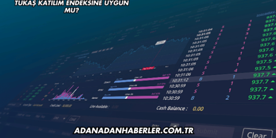 Tukaş Katılım Endeksine Uygun mu?