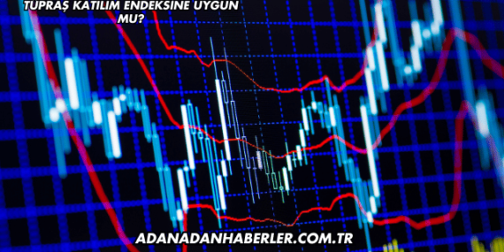 Tüpraş Katılım Endeksine Uygun mu?