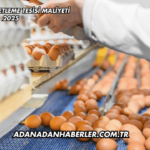 Yumurta Paketleme Tesisi Maliyeti 2025
