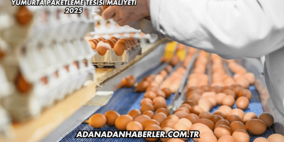 Yumurta Paketleme Tesisi Maliyeti 2025