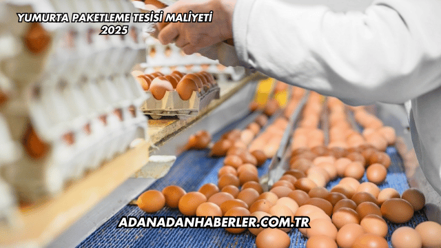 Yumurta Paketleme Tesisi Maliyeti 2025