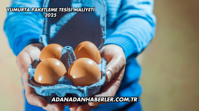 Yumurta Paketleme Tesisi Maliyeti 2025