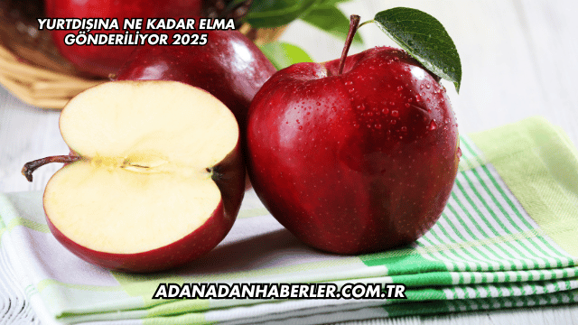 Yurtdışına Ne Kadar Elma Gönderiliyor 2025