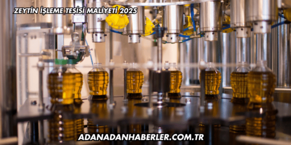 Zeytin İşleme Tesisi Maliyeti 2025